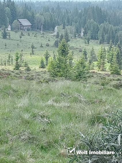 Teren Construcții intravilan de 585 mp, în Beliș