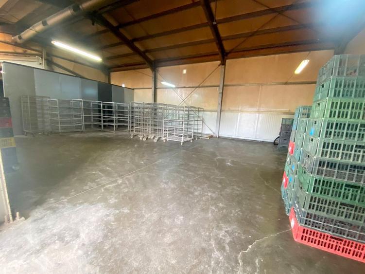 Spațiu industrial, de 132 mp, în Săcălaz