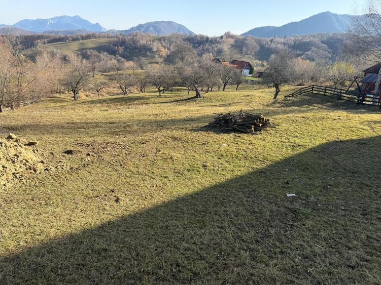 Spațiu comercial, în Bran