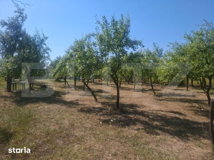 Teren de 2493 mp, în Cobia