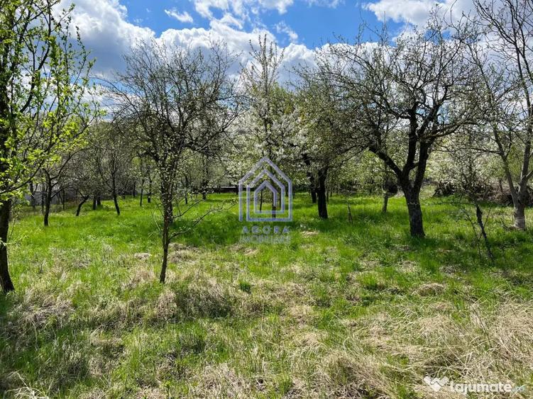 Teren de 4872 mp, în Antoceni
