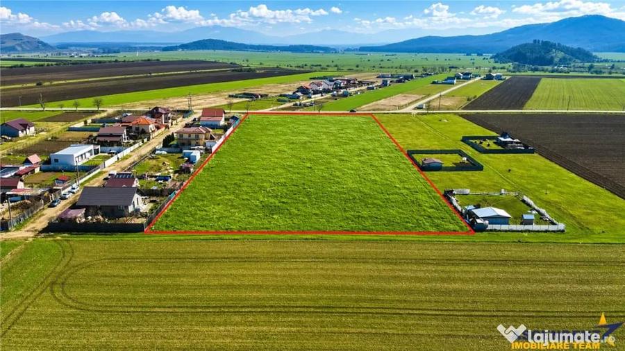 FILM! 700 mp teren intravilan, recomandat constructie casa - 2