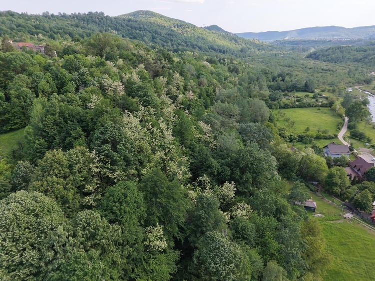 Teren Construcții intravilan de 17000 mp, în Doftana