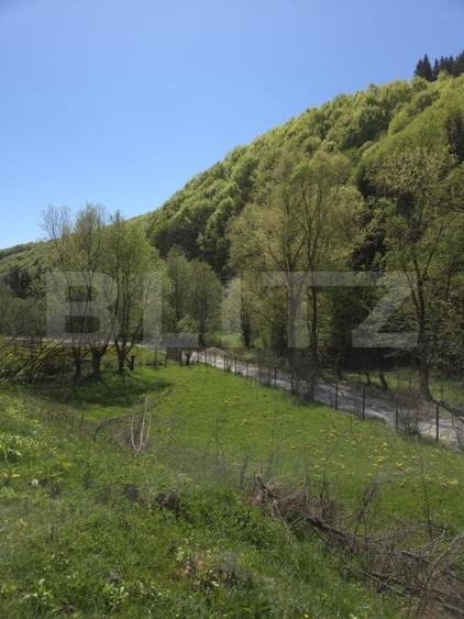 Casă individuală cu 6 camere cu Teren 4159 Mp în Năsăud