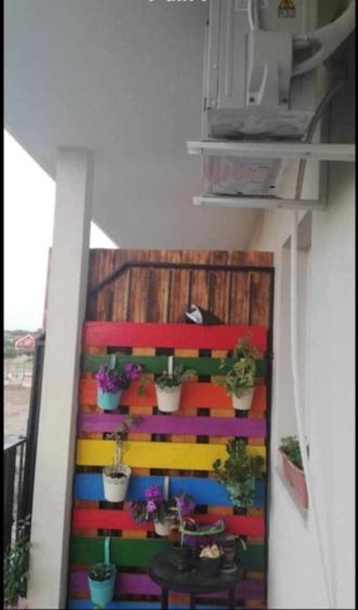 Apartament de inchiriat 3 camere Dumbravita - 5