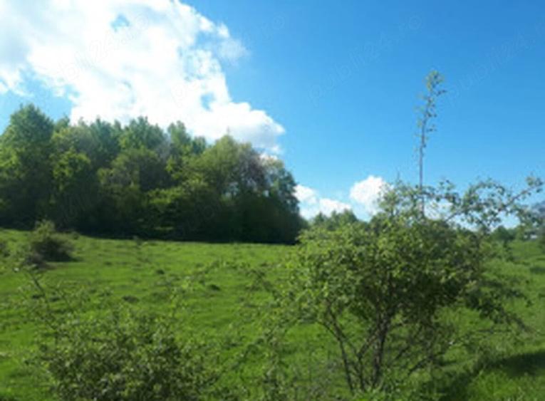 Teren de 2946 mp, în Valea Rumâneștilor