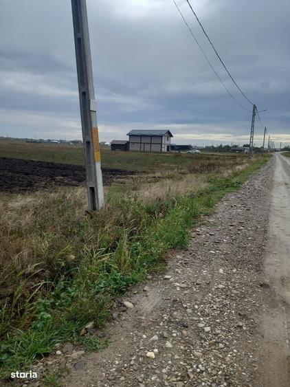 Teren de 7500 mp, în Mărăcineni