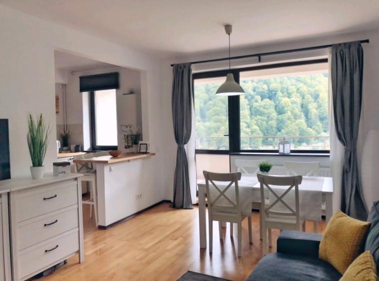 Apartament cu 2 camere decomandat, mobilat în Platoul Izvor
