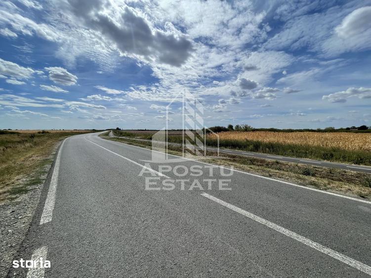 Teren de 55000 mp, în Central