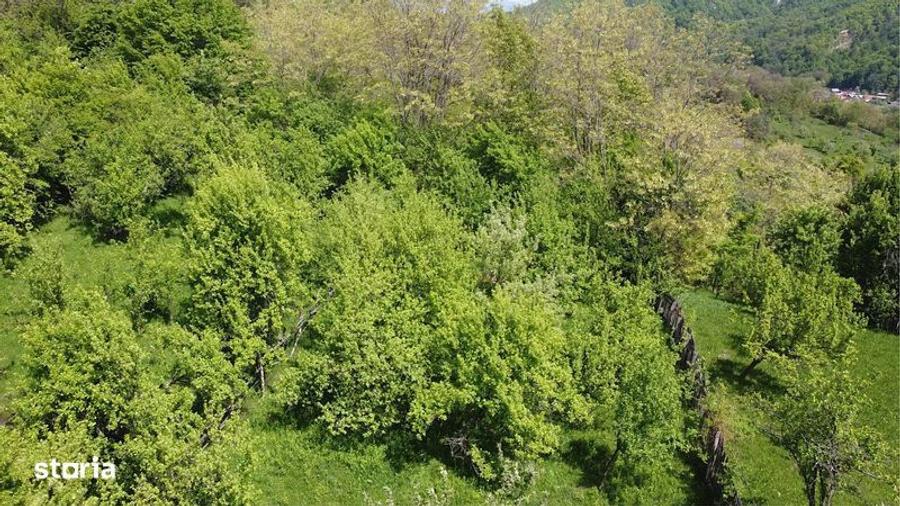 Teren de 1070 mp, în Berevoești