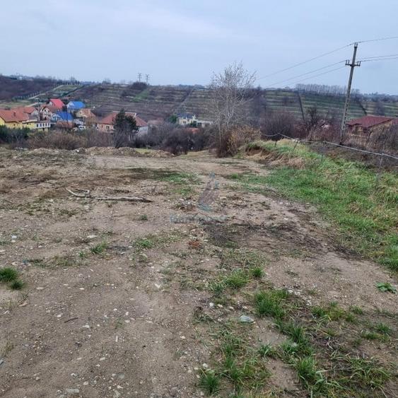 Teren Construcții intravilan de 3133 mp, în Cantemir