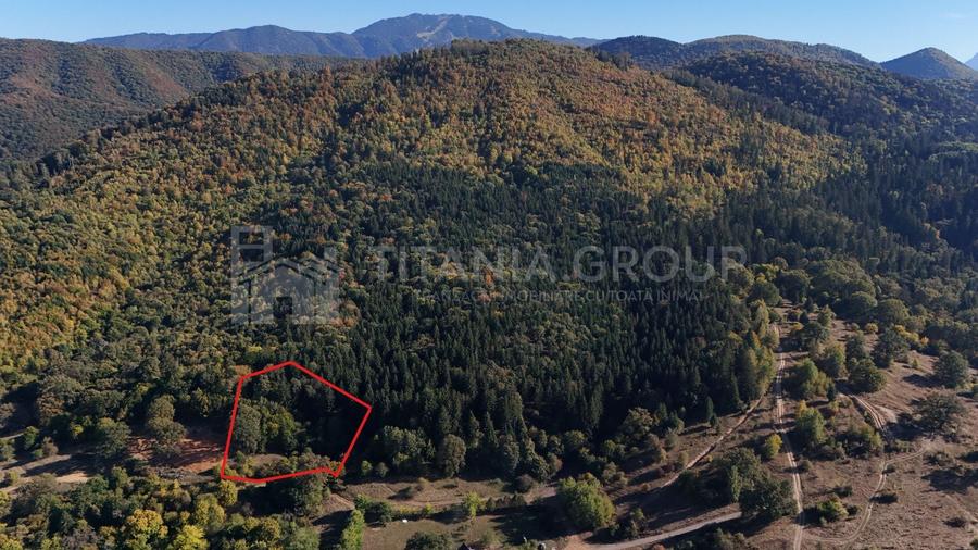 Teren Construcții extravilan de 2283 mp, în Cristian