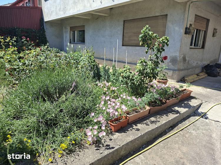 Apartament cu 4 camere, mobilat în Central