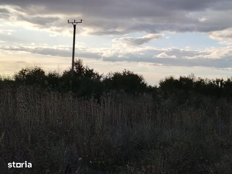 4 terenuri extravilane, 22.000 mp, in zona Verguleasa, langa Buzau - 4