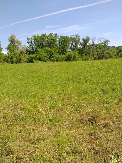 Teren de 3000 mp, în Răzvad