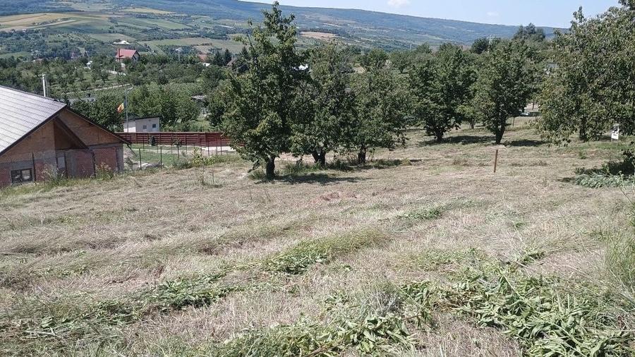 Teren de 3000 mp, în Chicerea