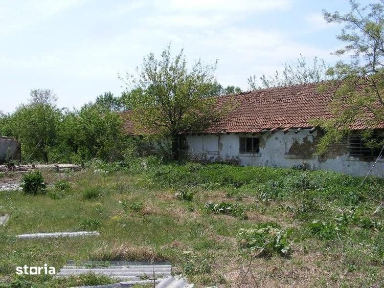 Teren de 9795 mp, în Rădoiești