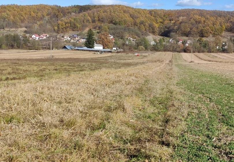 Teren agricol extravilan de 8000 mp, în Drăganu