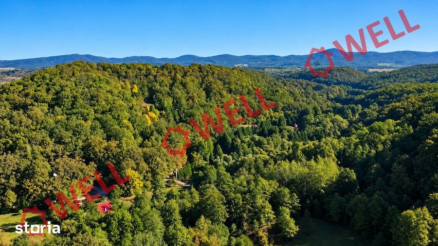 Teren de 16800 mp, în Bățani