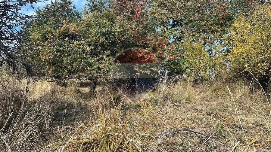 Teren agricol extravilan de 2900 mp, în Gheorghieni