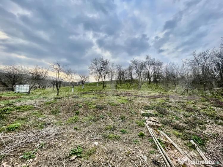 Casă cu 2 camere cu Teren 793 Mp în Galda de Jos
