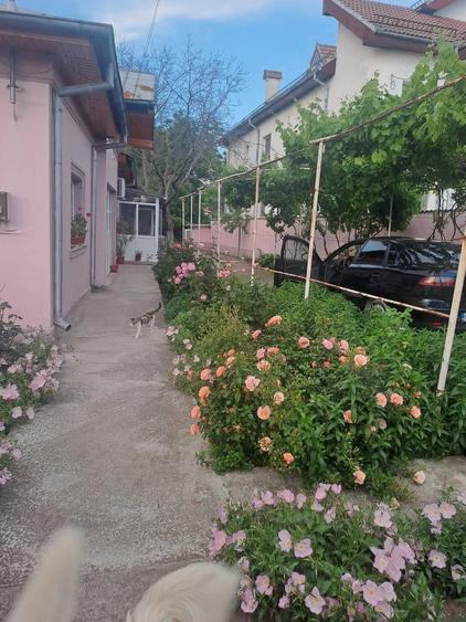 Casă cu Teren 1000 Mp în Central