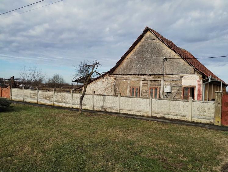 Casa veche din 1955 si teren intravilan 6153 mp,Localitate Sinersig,Jud Timis - 2