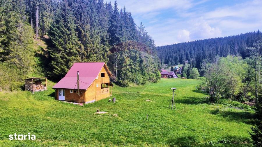 Casă cu 3 camere decomandat cu Teren 2237 Mp în Beliș