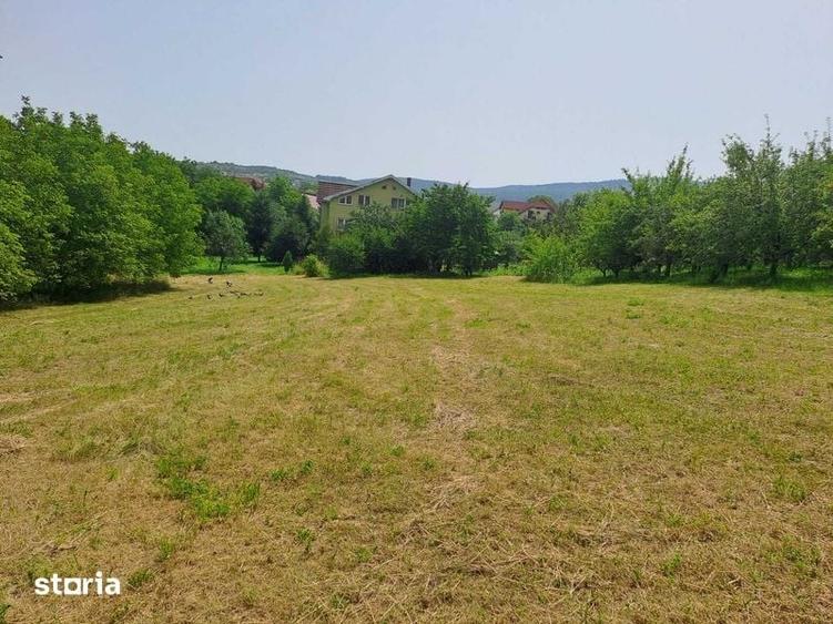 Teren de vanzare intravilan Zalau - 3