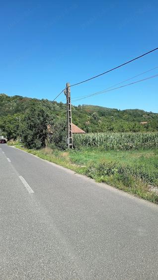Teren de 1400 mp, în Săbișa