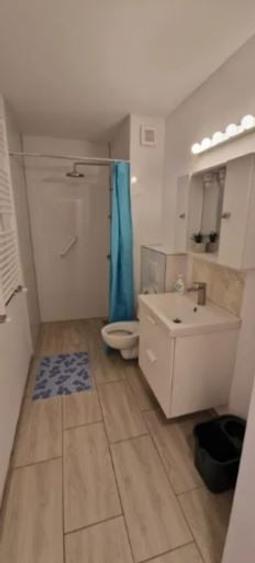 Apartament 2 Camere,Alba Iulia,bl.1990,et.4/8DECOMANDAT,Amenajat,mobilat - 3