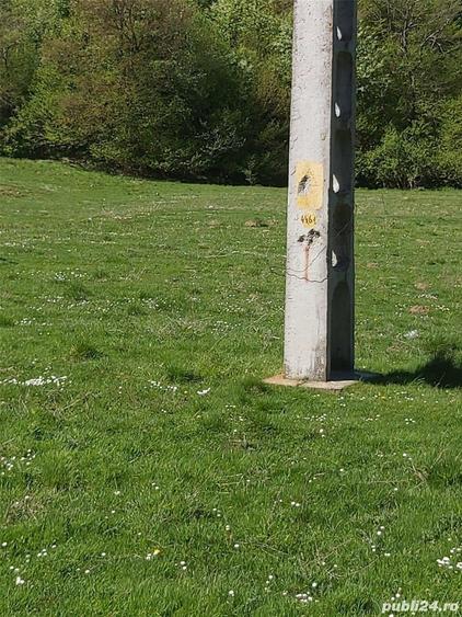 Teren de 8500 mp, în Părău