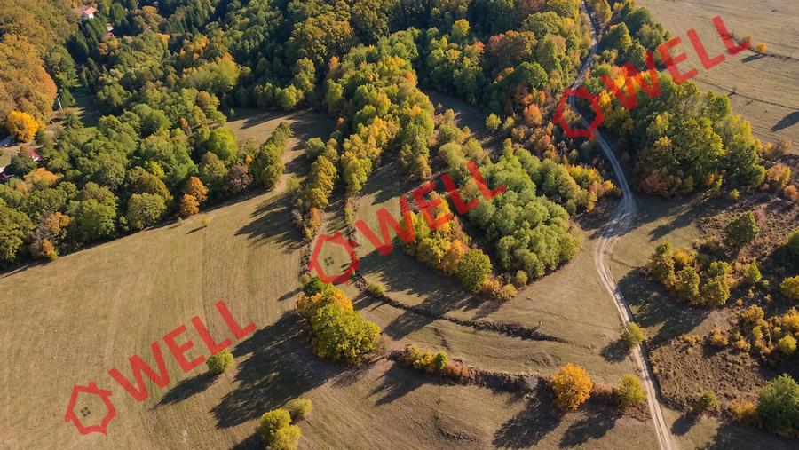 Teren extravilan de 4500 mp, în Bățanii Mici