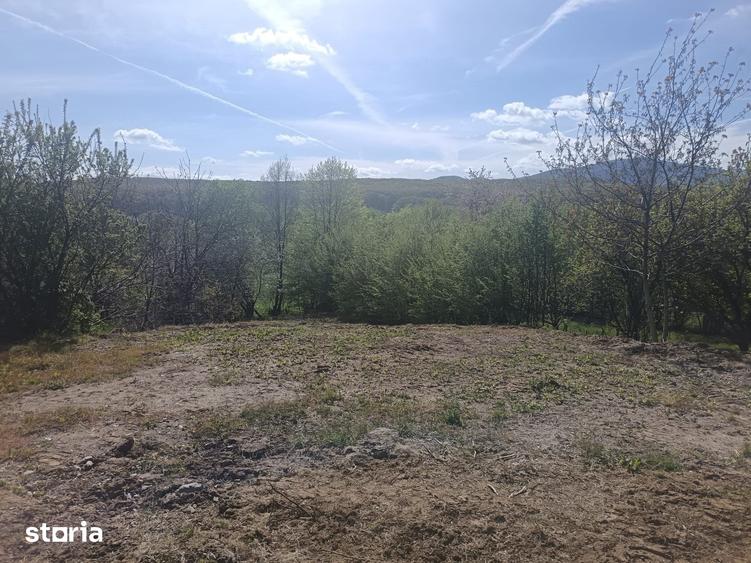 Teren de 554 mp, în Central