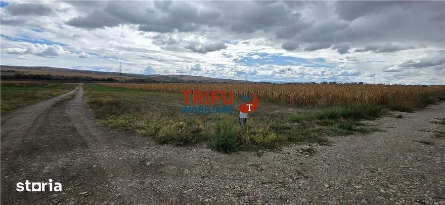 Teren de 5900 mp, în Partoș