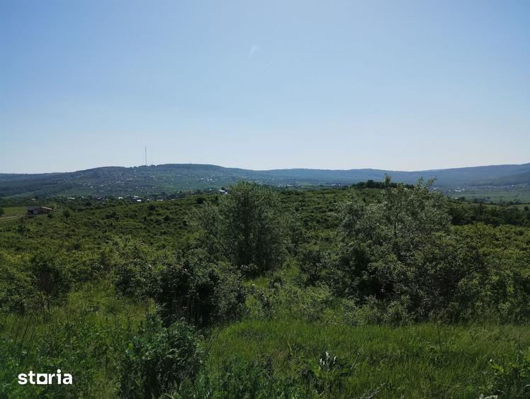 Teren de 350 mp, în Bârnova