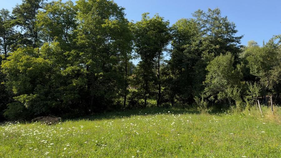 Teren Construcții intravilan de 4653 mp, în Valea Danului