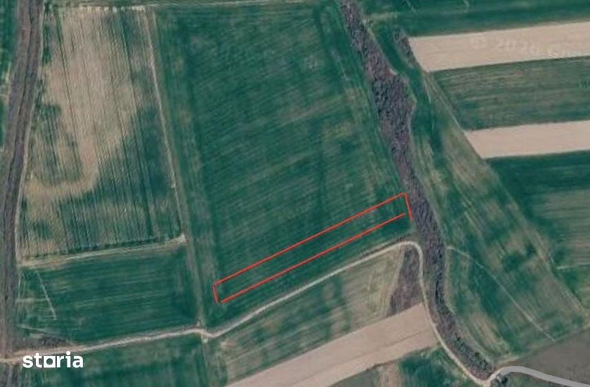 Teren de 3270 mp, în Saca