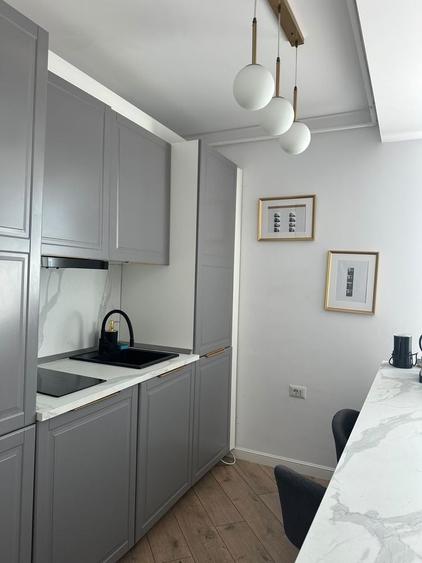 Inchiriere apartament ilfov stefnastii de jos - 2