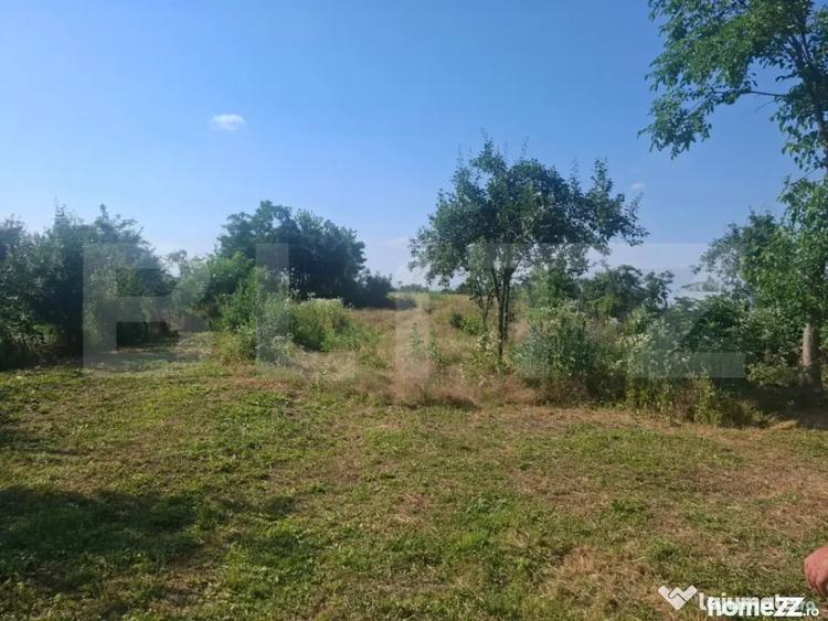 Casă cu 2 camere cu Teren 5000 Mp în Mogoșani