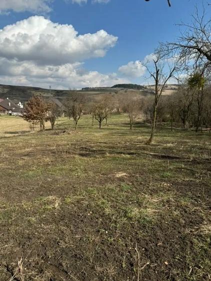 Teren de vanzare Sat Corusu, comuna Baciu 3484mp - 4