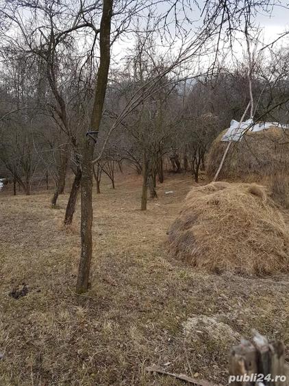 Teren de 1700 mp, în Olănești