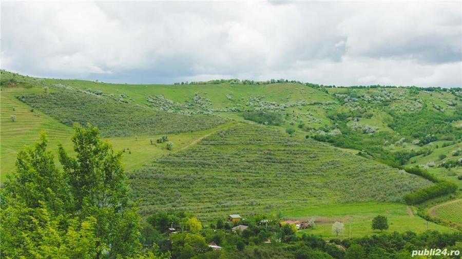 Teren de 20000 mp, în Vadu Săpat