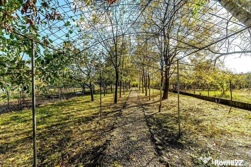 Vila 5 camere Gradi?te | 2 corpuri | 0% comision. Pre?... - 17