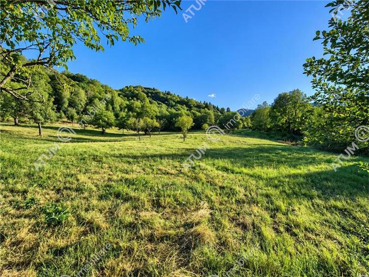 Teren extravilan de 1200 mp, în Sibiel