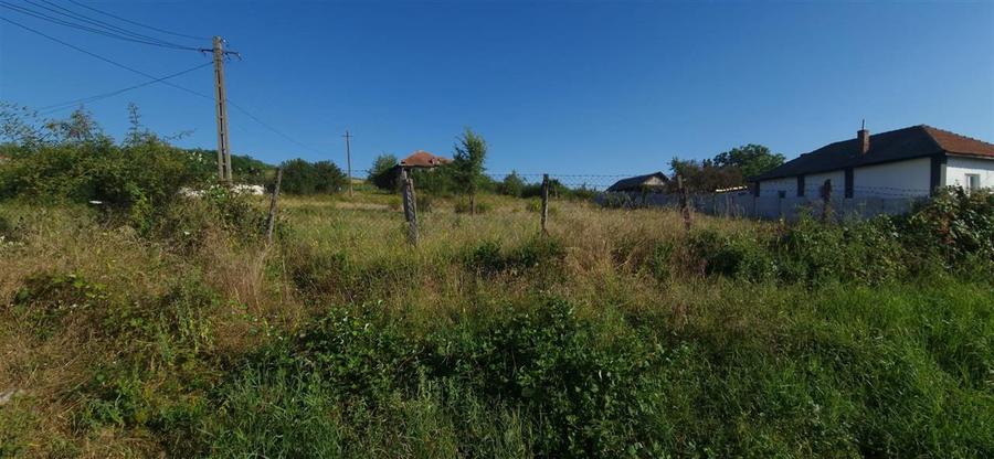 Teren  8 227 mp + Casa demolabila de vanzare in Filiasi -  Fratostita Dolj - 4