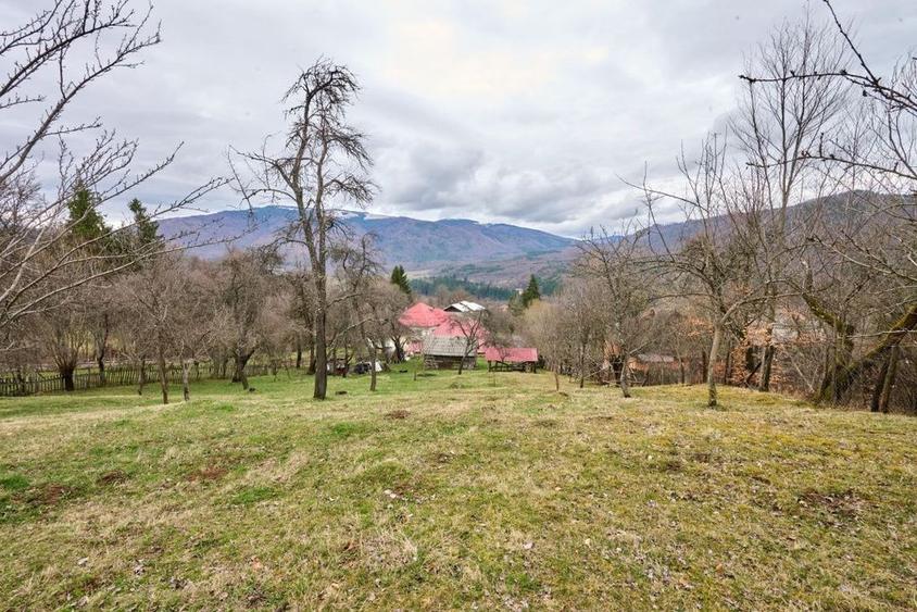 Casă cu 4 camere cu Canalizare în Nucșoara