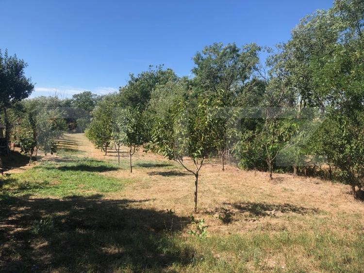 Casă individuală cu 2 camere cu Teren 3700 Mp în Supuru de Sus