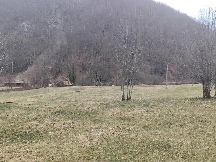 Teren de 1795 mp, în Remeți