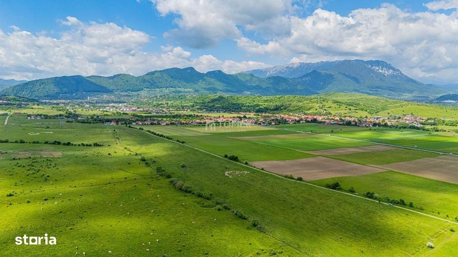 Spațiu comercial, în Tohanu Nou